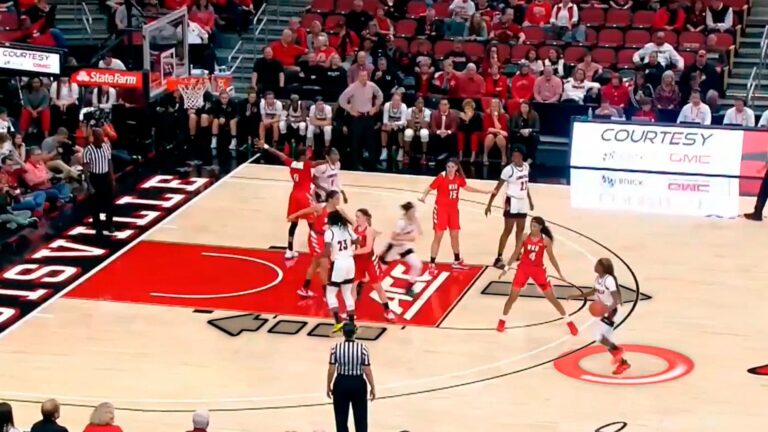 basketball snapshot compressed